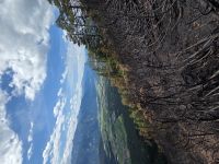 2026-07-16_waldbrand_wildermieming_11