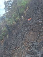 2026-07-16_waldbrand_wildermieming_26
